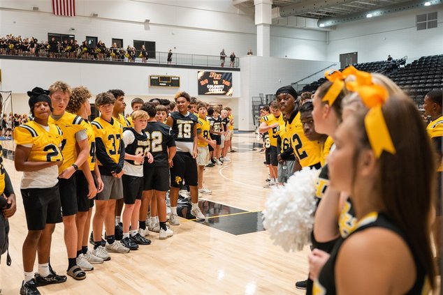 meet the wildcats 3
