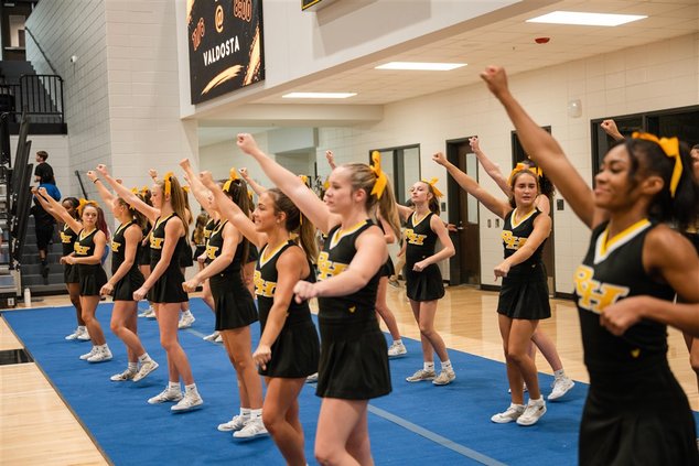 meet the wildcats 7