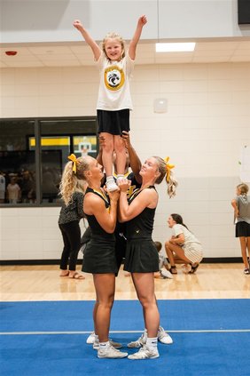 meet the wildcats 8