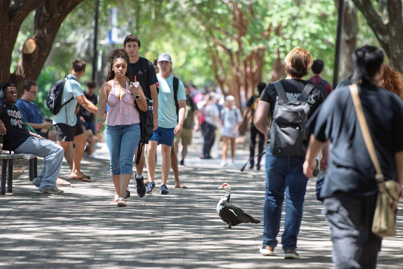 Georgia Southern 2026