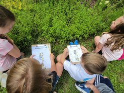 Great Southeast Pollinator Census goes live