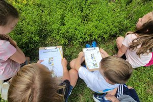 Great Southeast Pollinator Census goes live