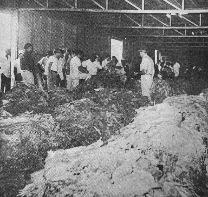 Tobacco Warehouse.jpg