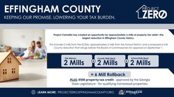 Tax Relief Project Camellia
