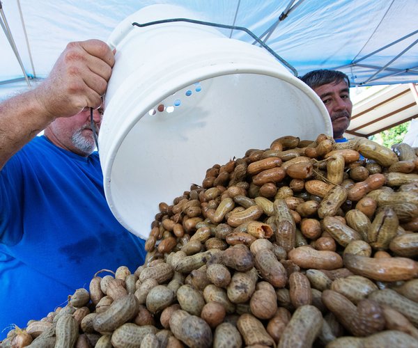 File PEANUT_FEST_01.jpg