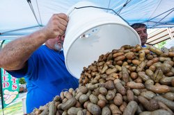 File PEANUT_FEST_01.jpg