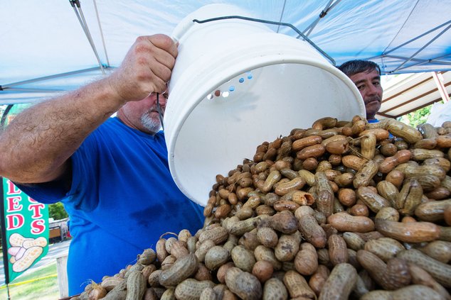 File PEANUT_FEST_01.jpg