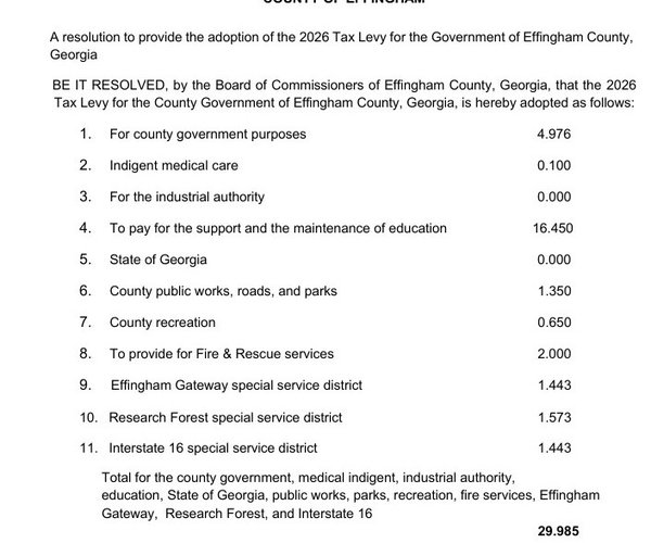Effingham County taxes