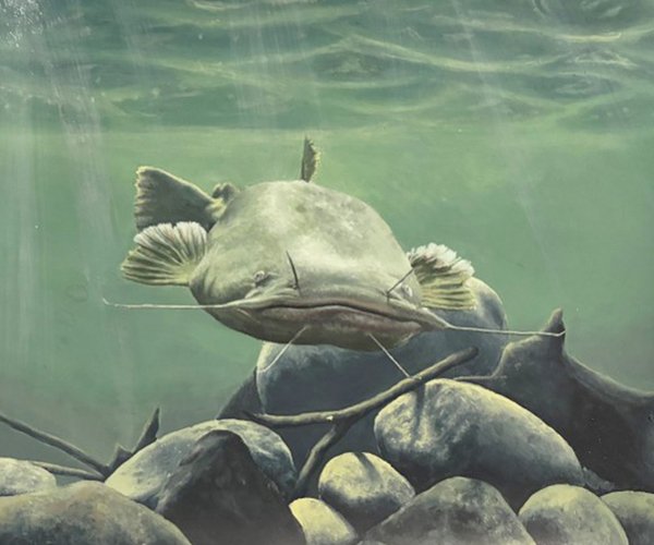 Fish Art.jpg