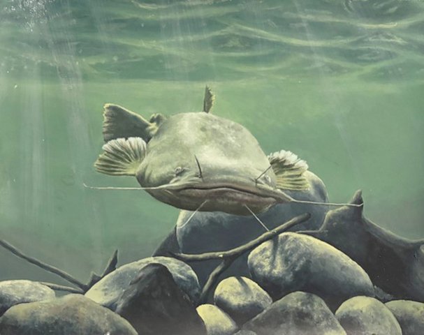Georgia DNR 2027 Fish Art Contest now open