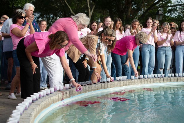 Pink 2025