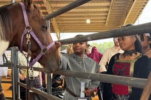 Renaissance Festival 7.jpg