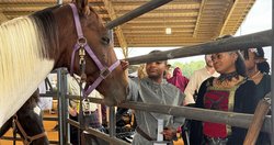 Renaissance Festival 7.jpg