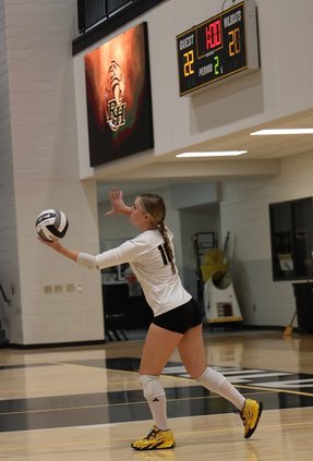 lily west volleyball