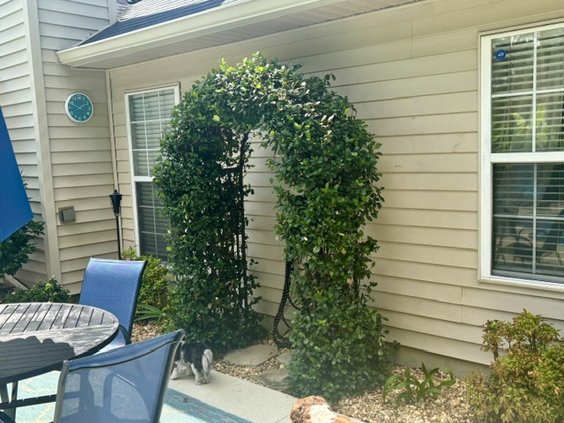 oct yard of the month