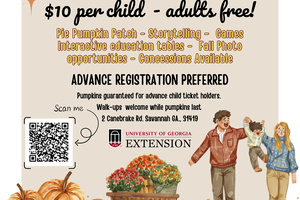 fall festival flyer real