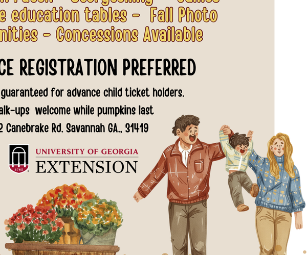 fall festival flyer real