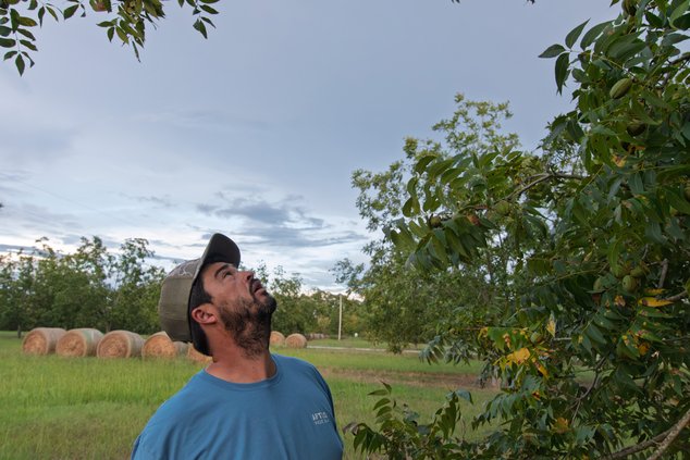 091226_MILL_CREEK_FARMS_2.jpg