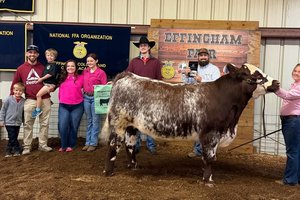 Effingham County Fair
