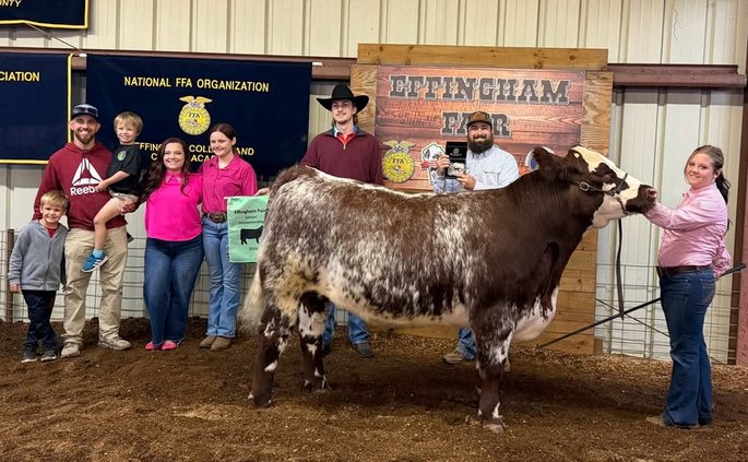 Effingham County Fair