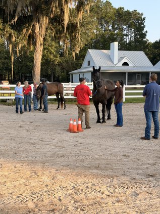 valor farms 15