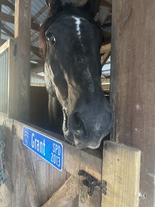 valor farms 13
